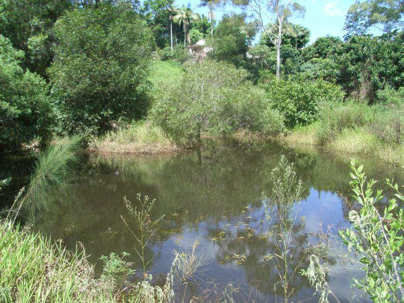 Open for inspection in 