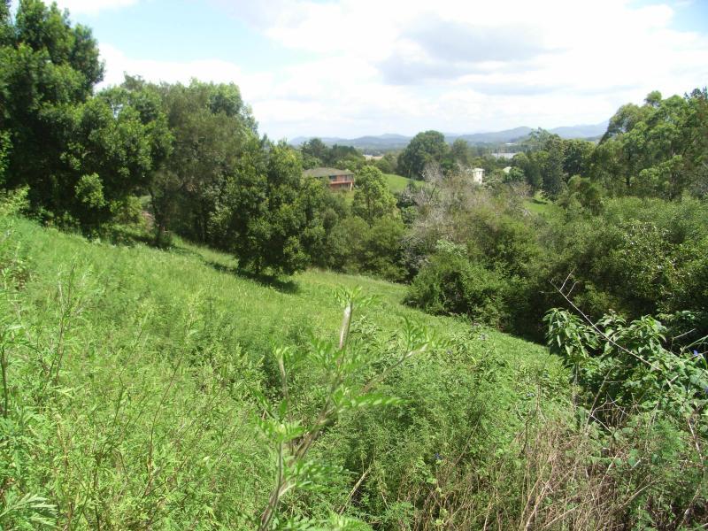 Selling your property in 