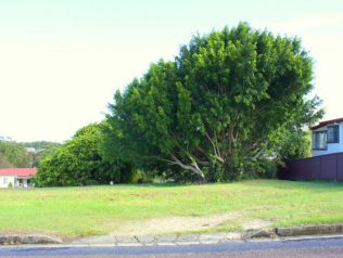 Property in Urunga - Sold