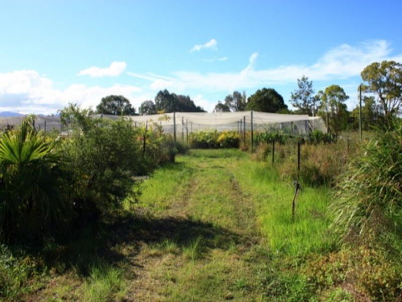 Raleigh real estate Sold