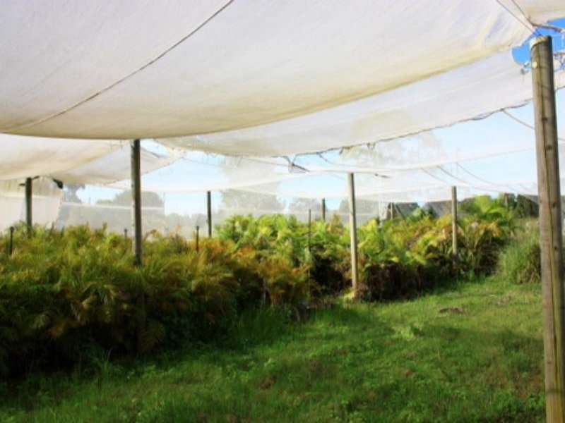 Real Estate in Raleigh