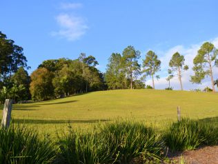 Property in Repton - Sold