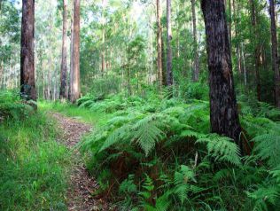 Property in Repton - Sold