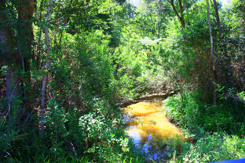 Real Estate in Valla