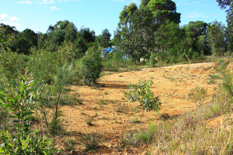 Open for inspection in Raleigh