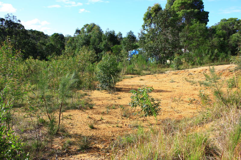 Selling your property in Raleigh