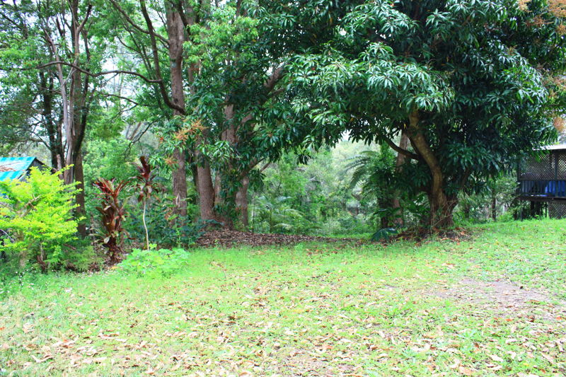 Property in Repton - Reduced $198,000