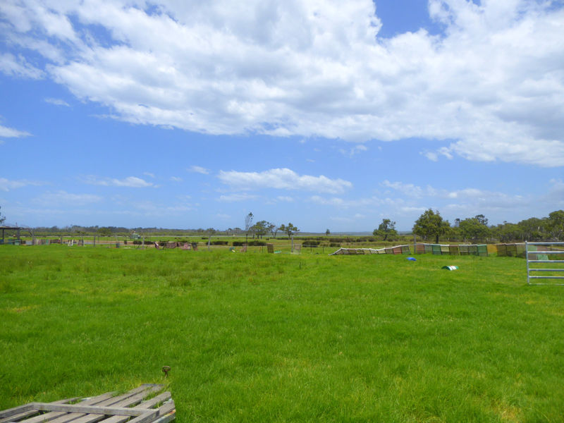 Real Estate in Urunga