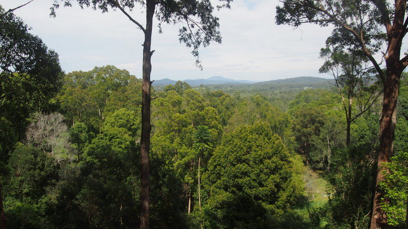 Repton Properties Leased