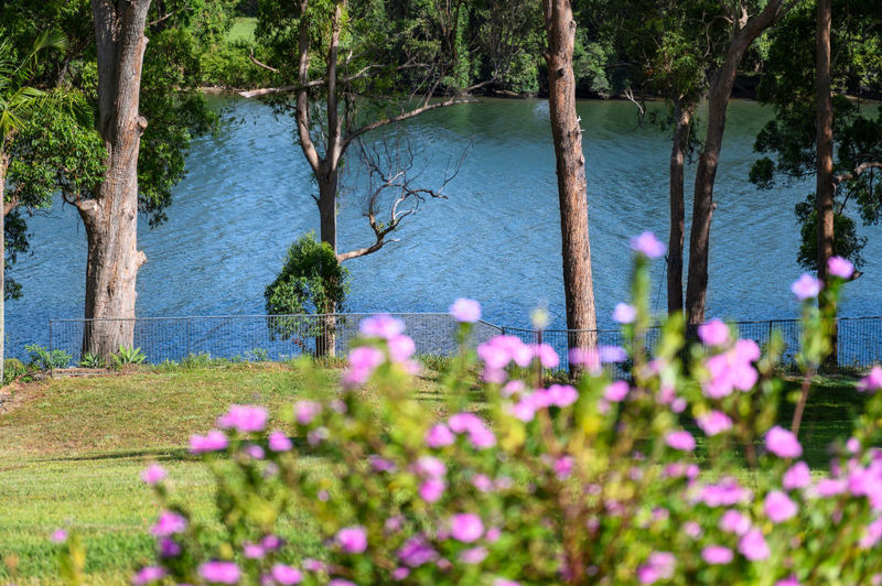 Real Estate in Raleigh