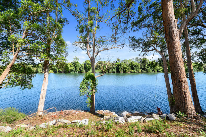 Real Estate in Raleigh