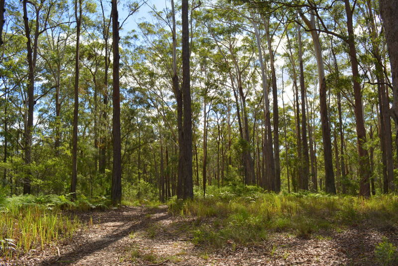 Property in Urunga - Sold