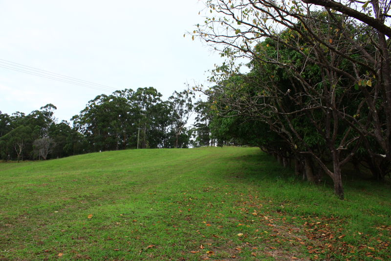 Real Estate in Valla