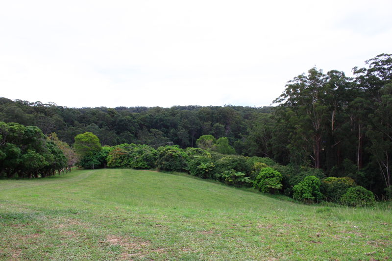 Real Estate in Valla