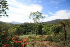 Property in Uki - Sold