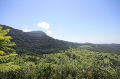 Property in Numinbah - Sold