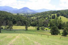 Property in Murwillumbah - Sold