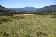 Property in Limpinwood - $1,800,000