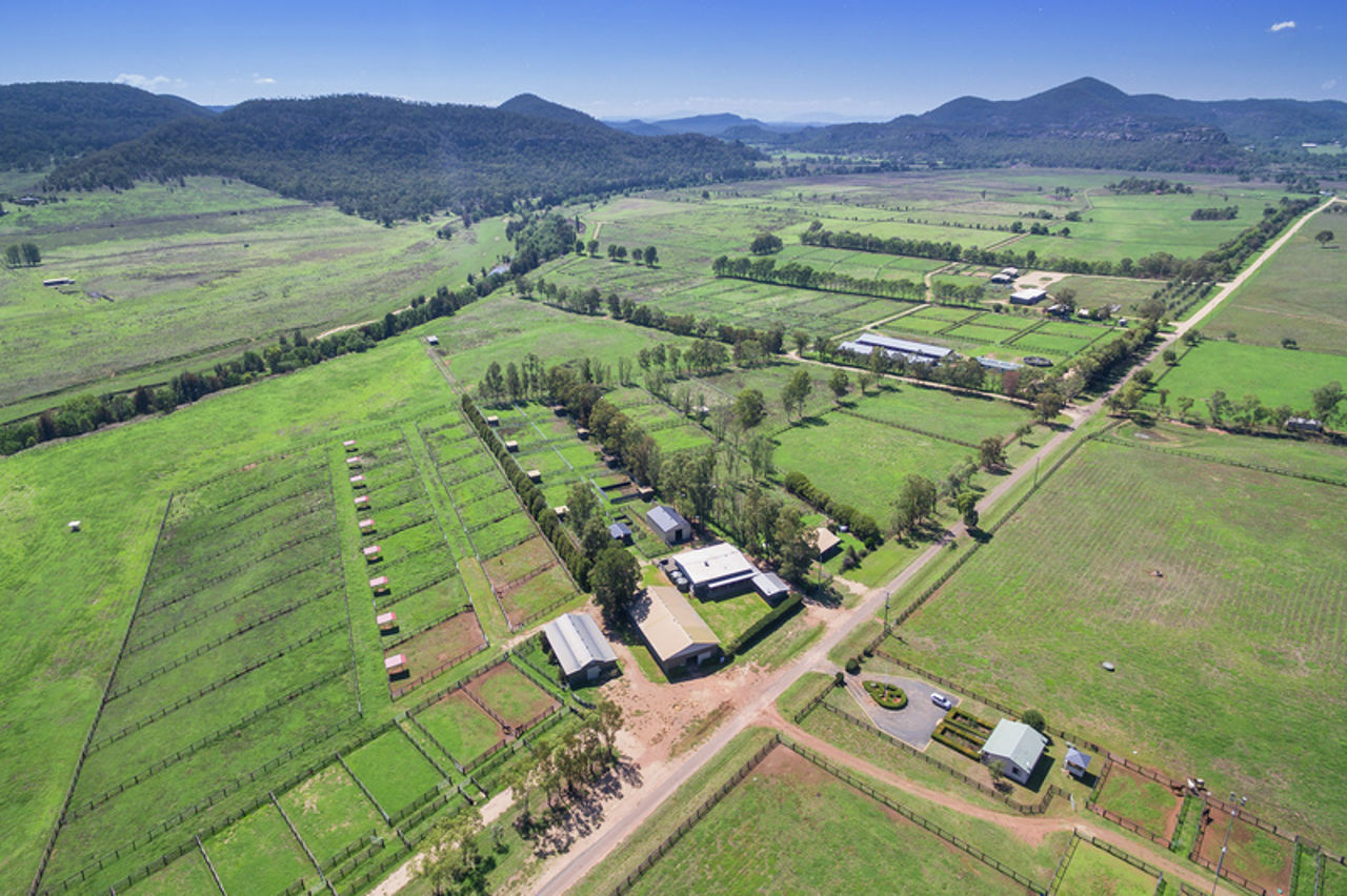 Richmond Grove Richmond Grove Road, Sandy Hollow > MacCallum Inglis