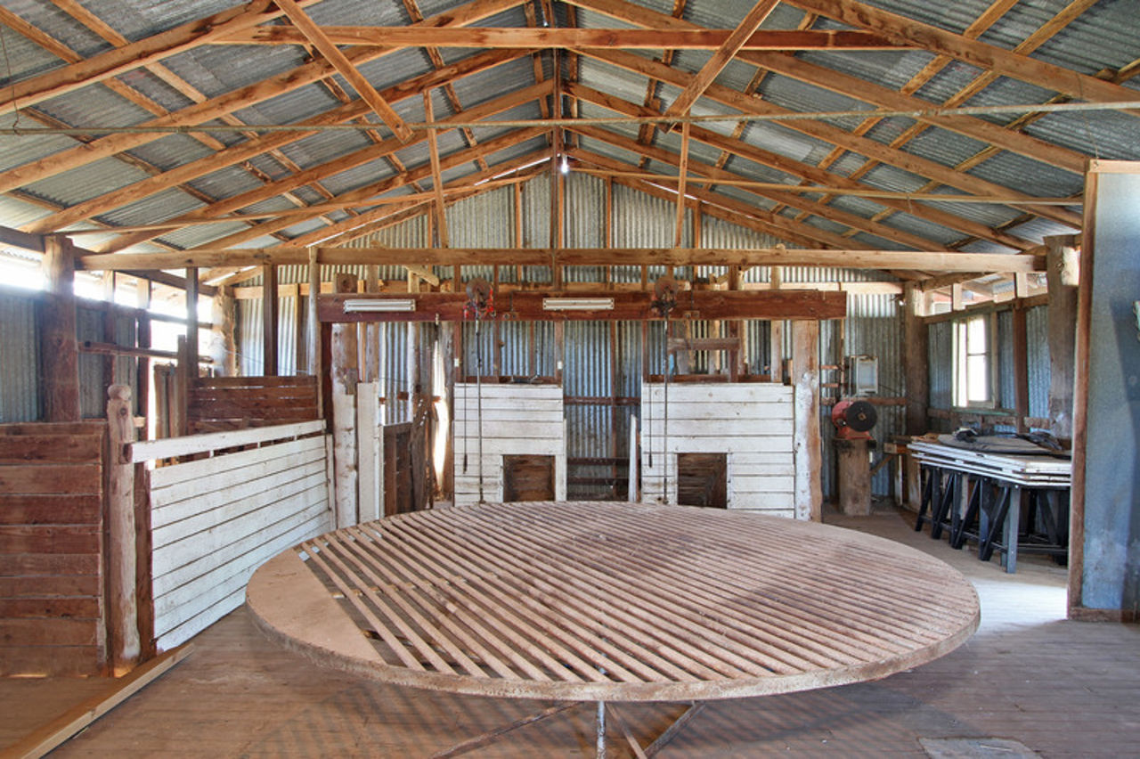 1460 Piallaway Road, Currabubula > MacCallum Inglis