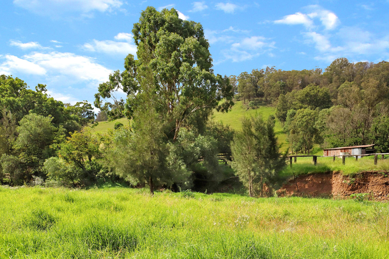 373 Scotts Creek Road, Scotts Creek > MacCallum Inglis
