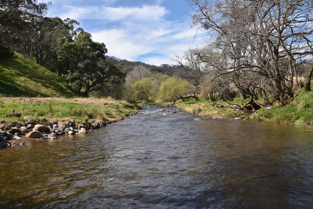 St. Andrews Moonan Brook Road, Moonan Brook > MacCallum Inglis