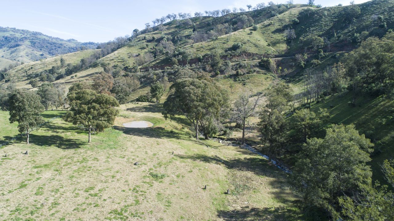 Tobys, Moonan Brook > MacCallum Inglis