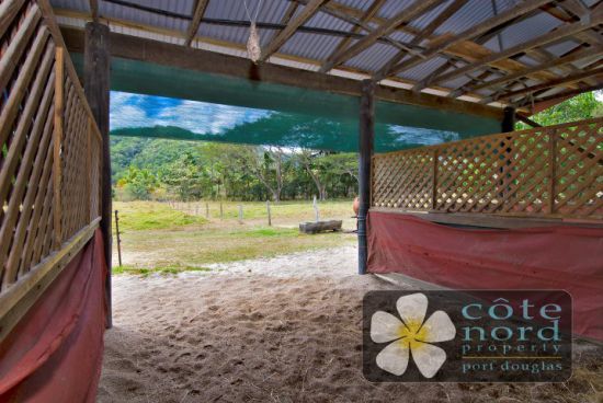 Stables and shelters in paddocks as well