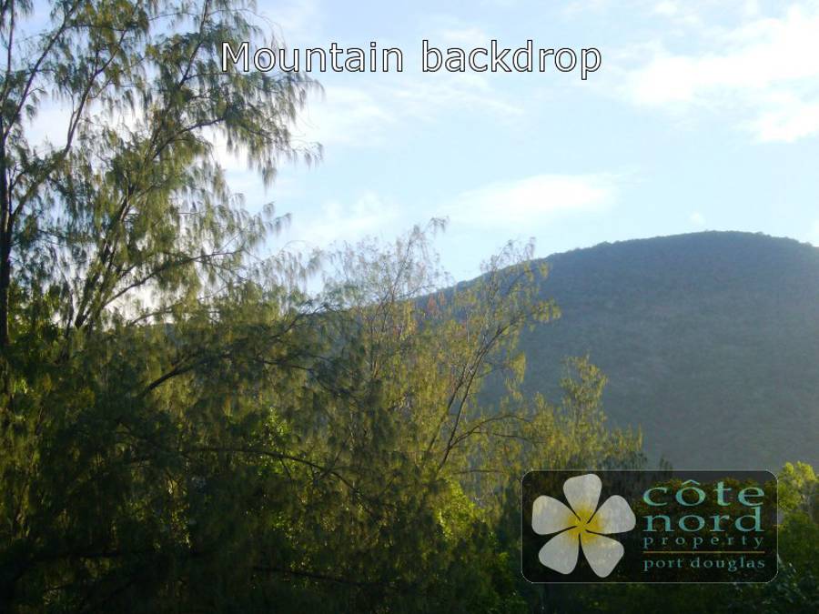 World Heritage listed rainforest clad mountain bac