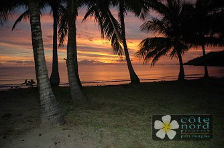 Oak beach.  Tropical!