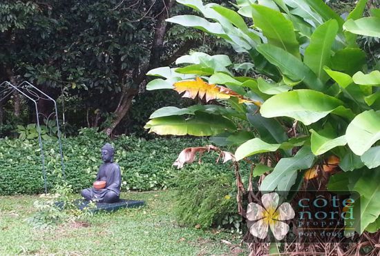 Enjoy the tranquility