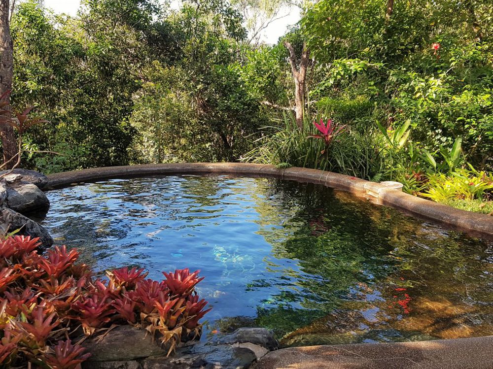 Lagoon style swimming pool