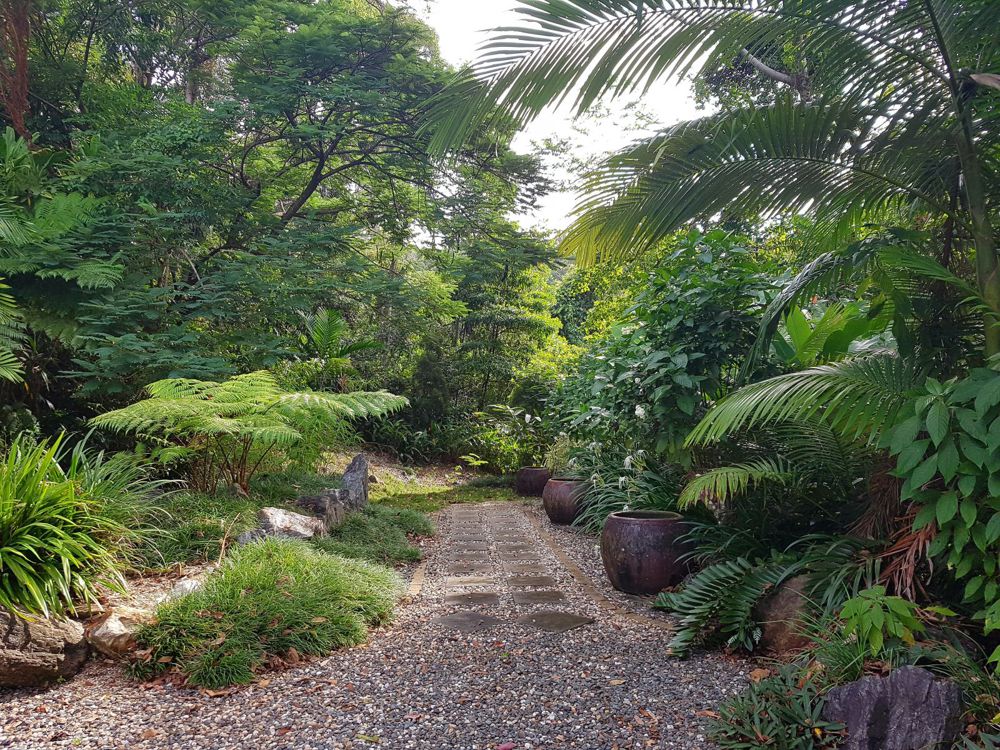 Tropical garden setting