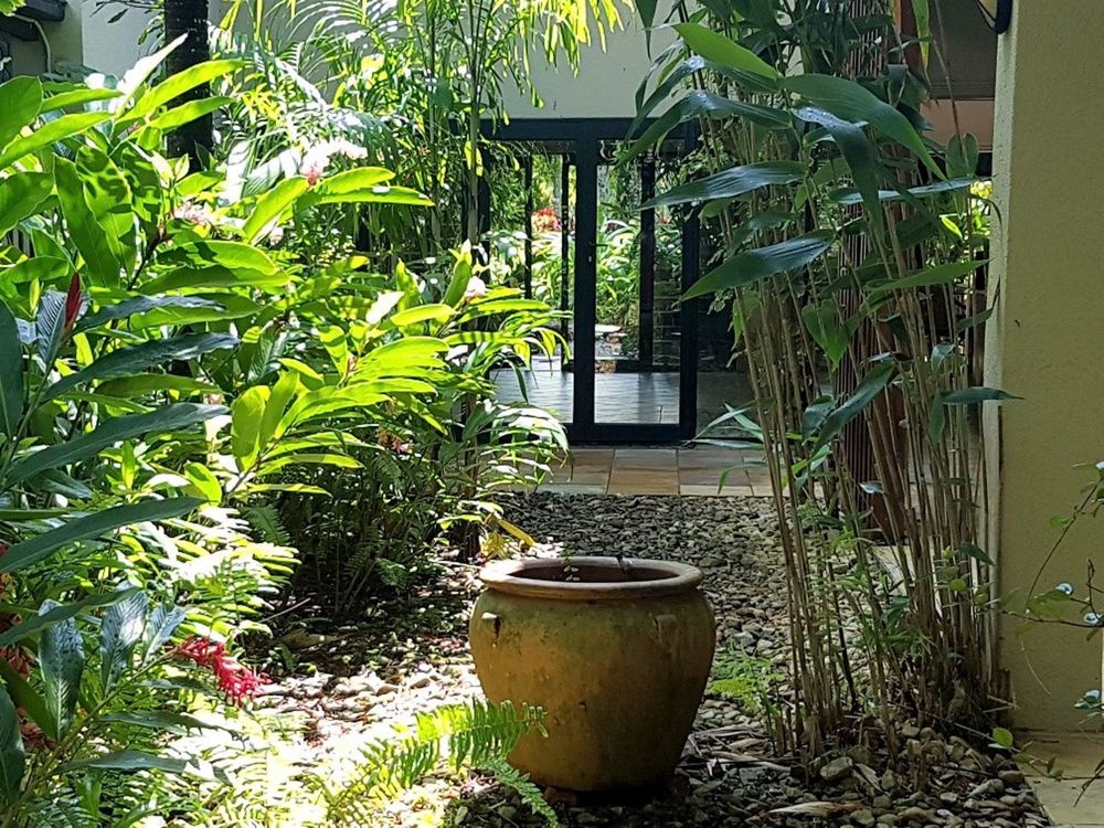 Real Estate in Port Douglas