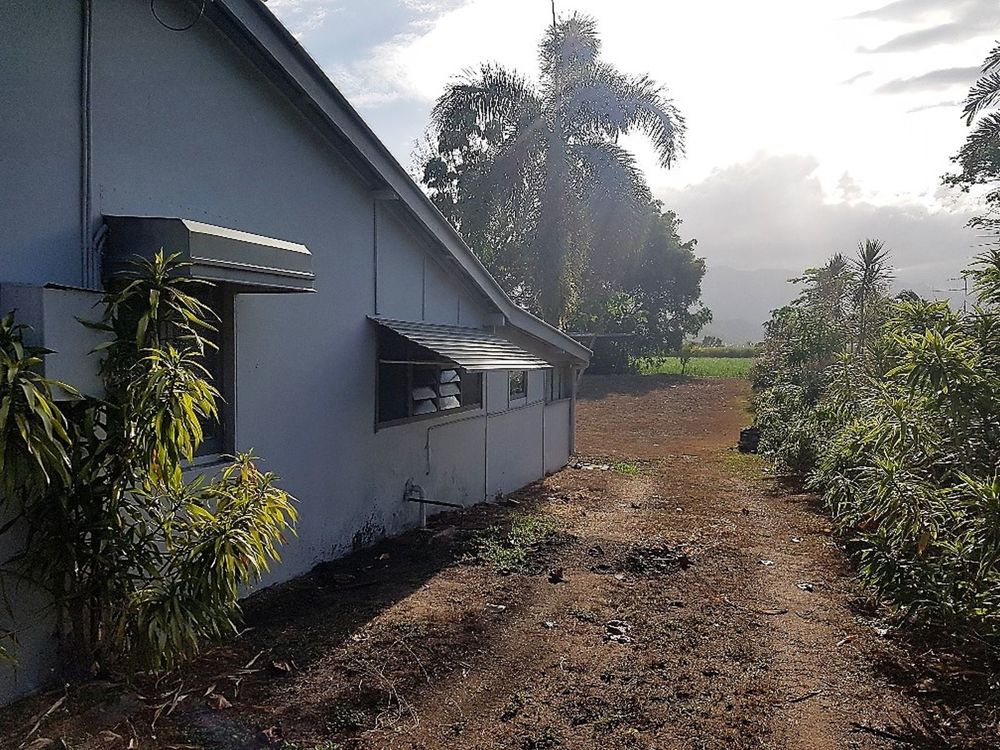 Looking past house to backyard and canefields