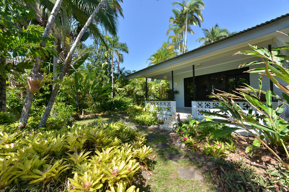 Tropical garden setting