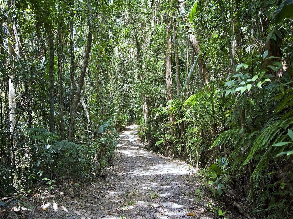 Real Estate in Port Douglas