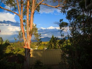 Property in Bellingen - Sold for $430,000