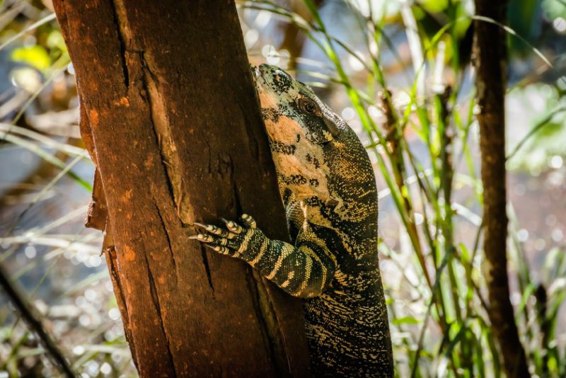 Real Estate in Valla