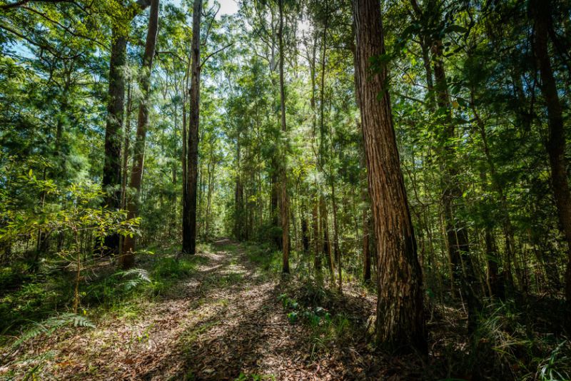 Real Estate in Valla