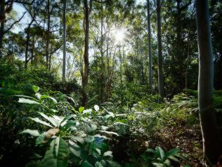 Property in Fernmount - Sold for $145,000