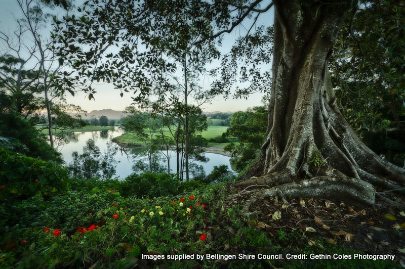 Real Estate in Fernmount