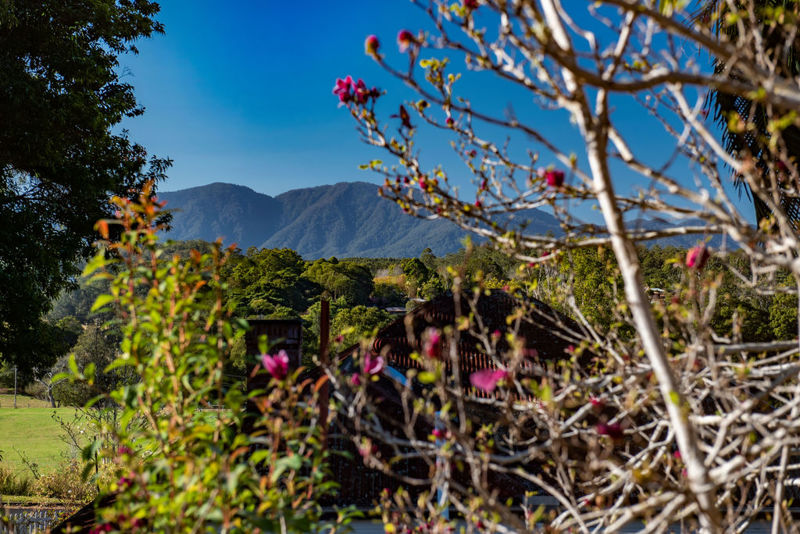 Property in Bellingen - Sold for $599,000