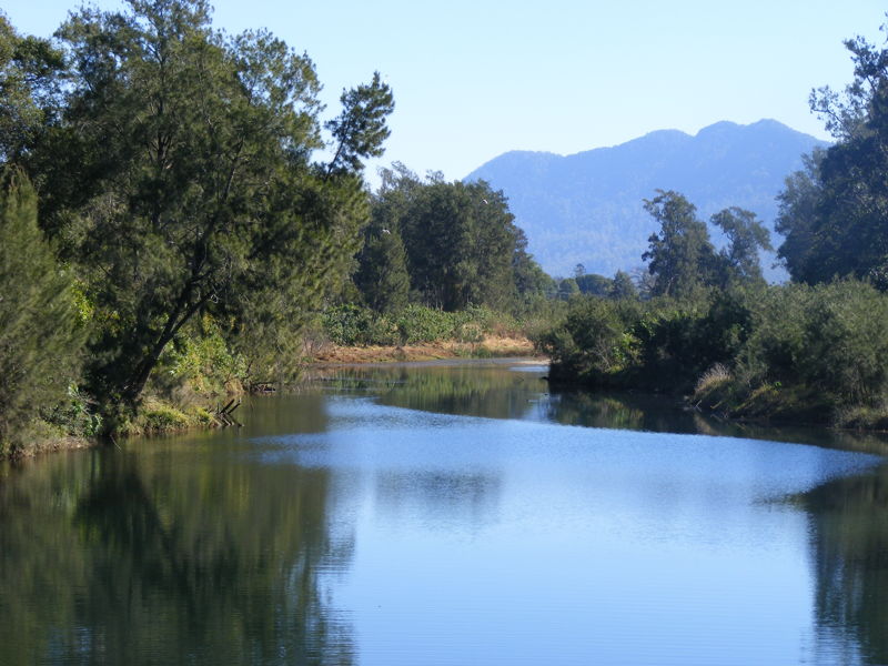 Property in Bellingen - Sold