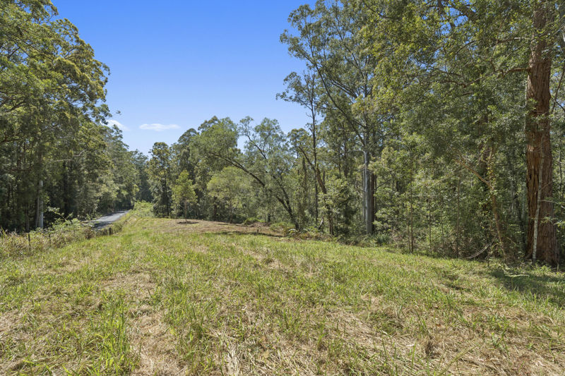 Real Estate in Bellingen