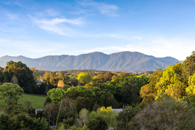 Real Estate in Bellingen
