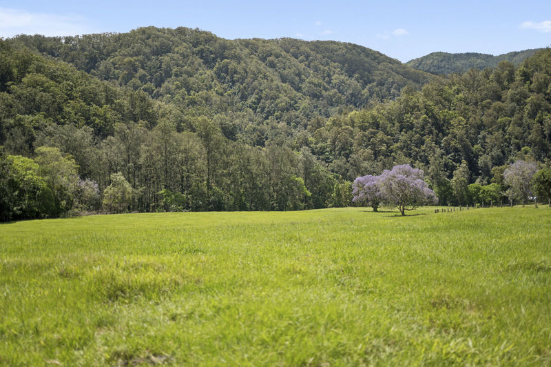 Property in Bellingen - Sold