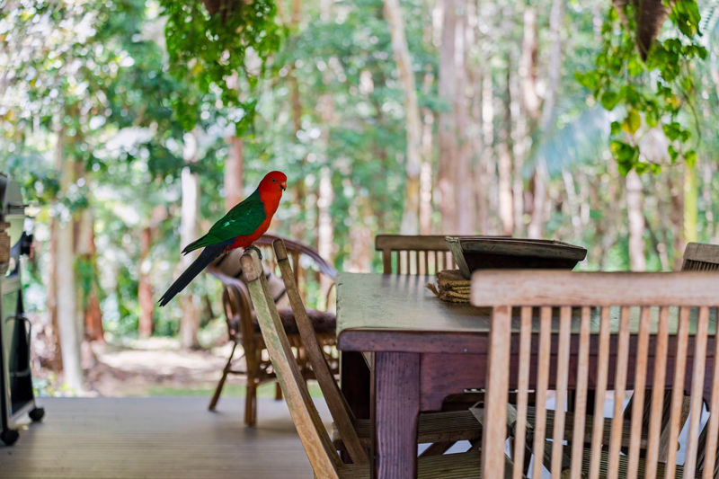 Real Estate in Repton