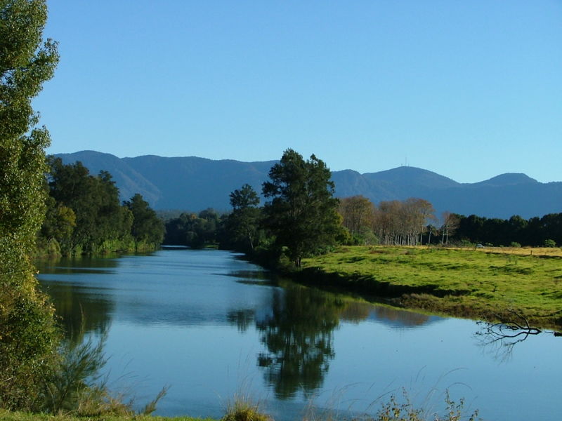 Bellingen Properties Sold