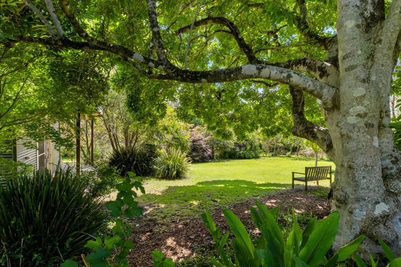 Real Estate in Dorrigo